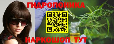 шишки Кинель