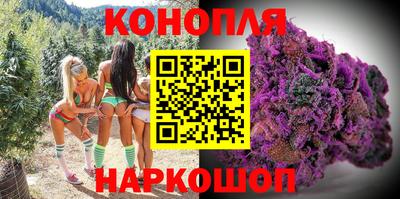 шишки Кинель